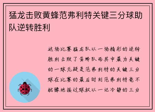 猛龙击败黄蜂范弗利特关键三分球助队逆转胜利